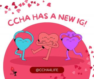 CCHA is back on Instagram #CHD #HeartMonth #1in100 #MoisduCoeur #cardiopathiecongenitale #heartdisease #heartdefect #instagram #insta #thegram #CHDawareness